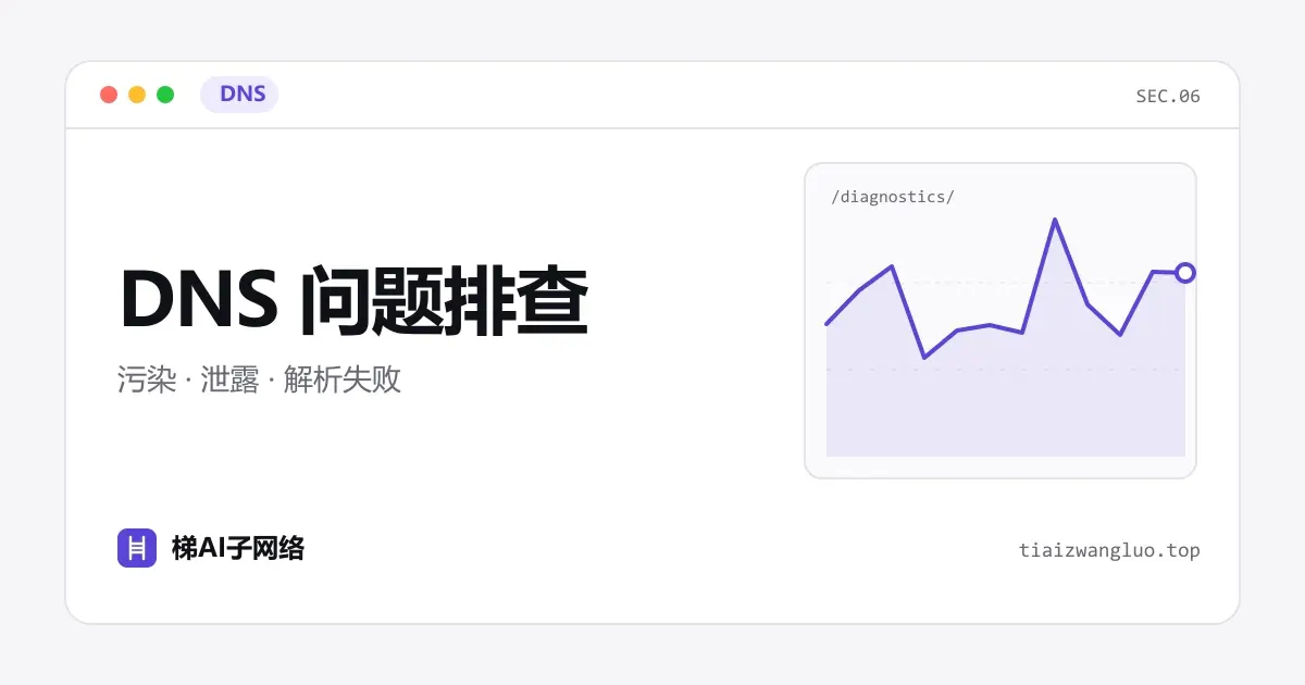 DNS 问题排查示意图：DNS 污染、DNS 泄露与解析失败三种情况的请求路径对比
